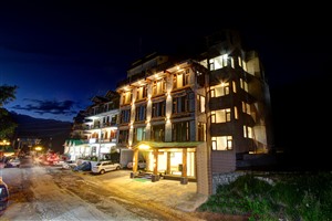 The Wood Bine Manali