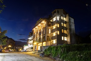 The Wood Bine Manali