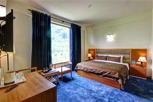 The Wood Bine Manali